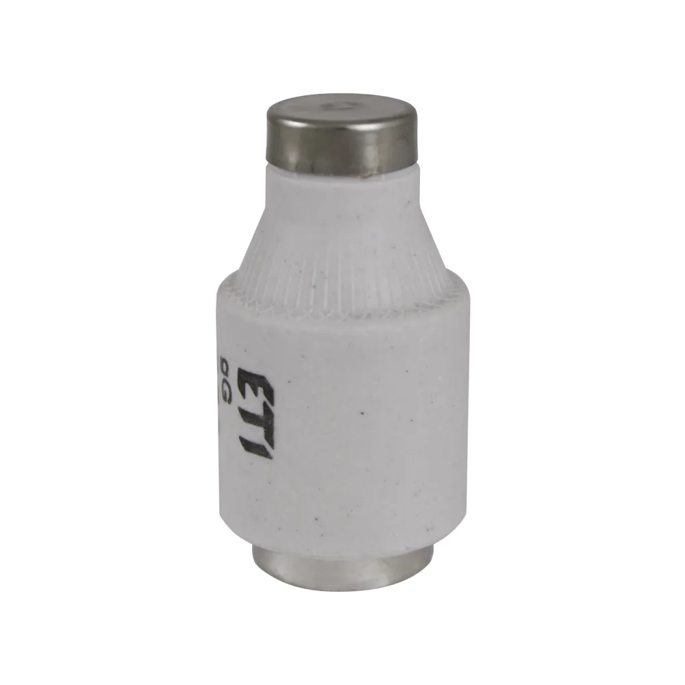 BIWTS DIII DZ GF 50A E33 500V - Fast-Acting Fuse Link