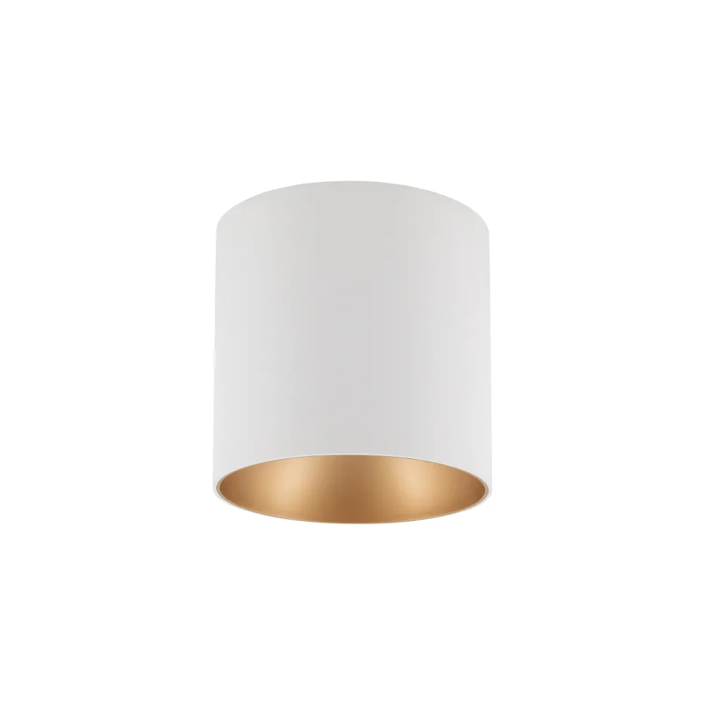 EYE TONE WHITE/ GOLD CEILING SPOT TUBE FIXTURE