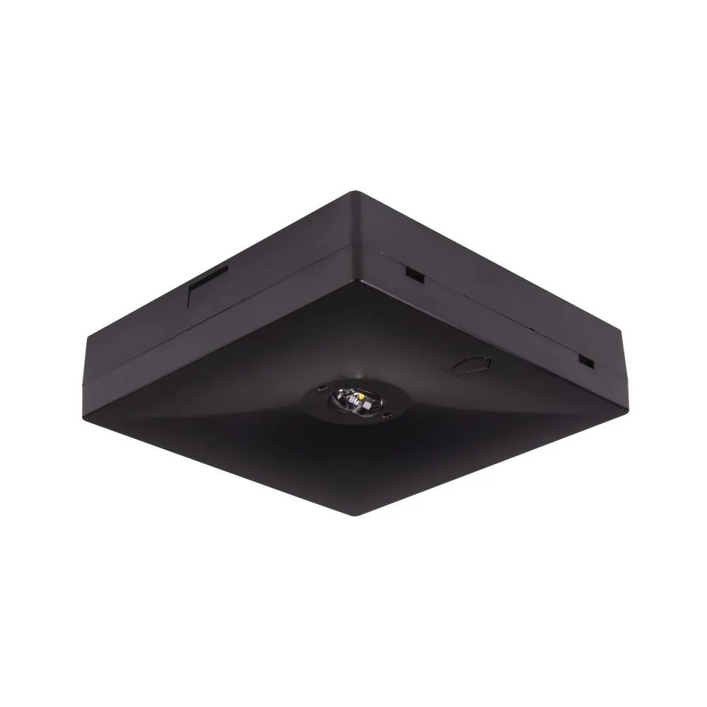 STARLET QUAD LED emergency light fixture