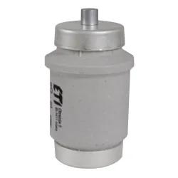 BIWTS DIV DZ GF - Wkładka Topikowa 100A 500V