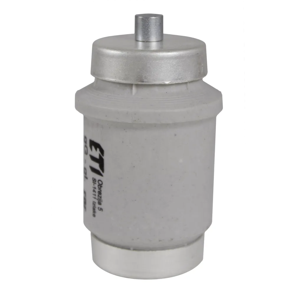 BIWTS DIV DZ GF - Wkładka Topikowa 100A 500V