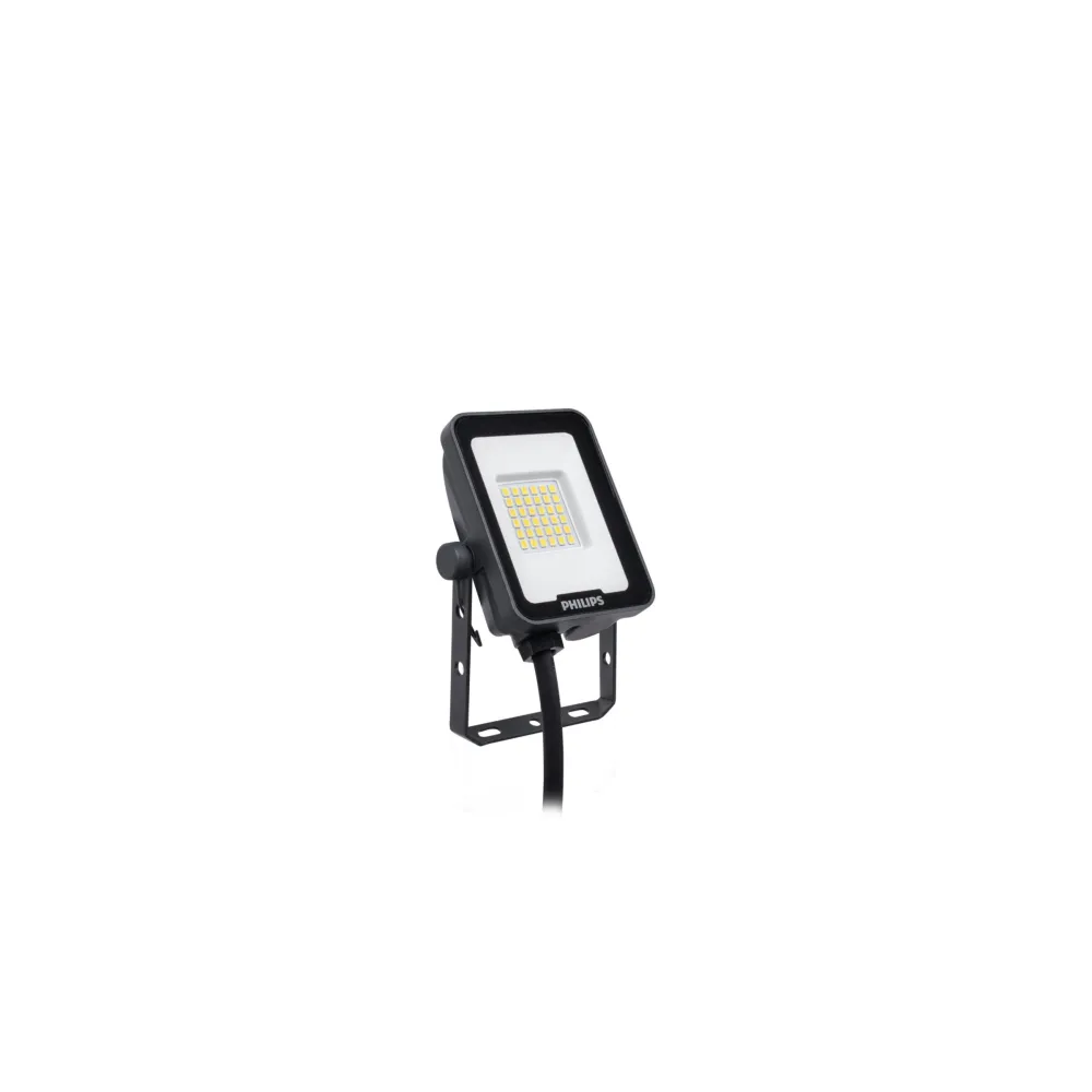 Naświetlacz LED BVP164 - Ciemnoszary 20W
