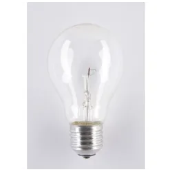 Żarówka NN/GLS niskonapięciowa 75W E27 24V