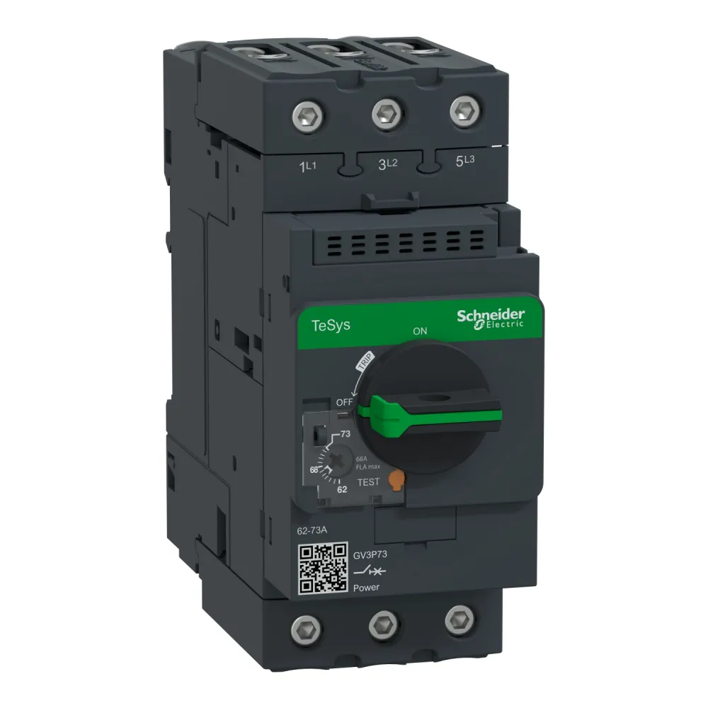 Wyłącznik silnikowy Schneider Electric TeSys GV3P 62-73A