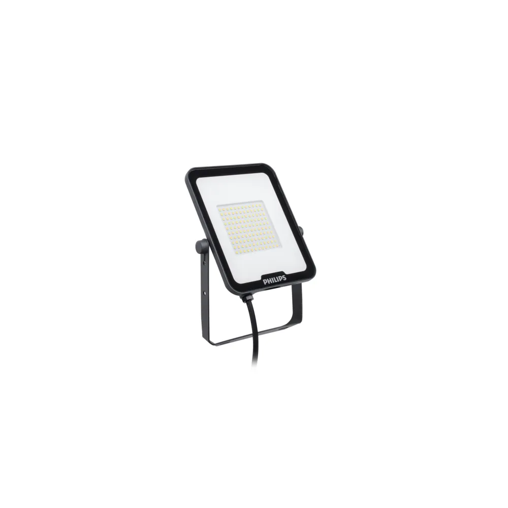 Naświetlacz LED BVP164 Ciemnoszary 50W