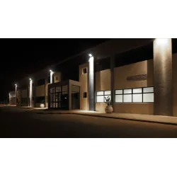 Naświetlacz LED BVP164 Ciemnoszary 50W