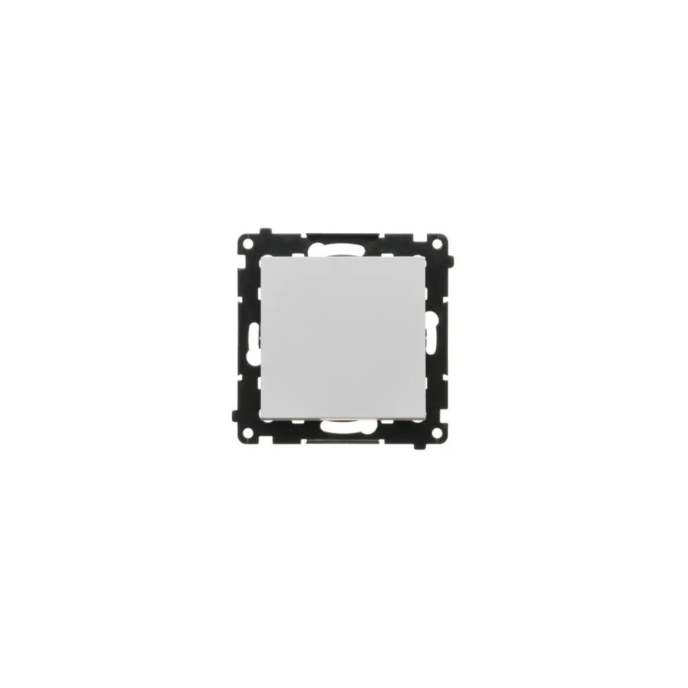 SIMON 55 Light Gray Matte Module Switch