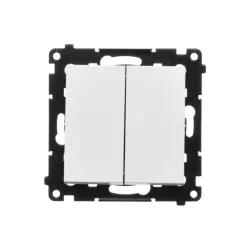 Simon 55 Module White Matte Button 2x 2G