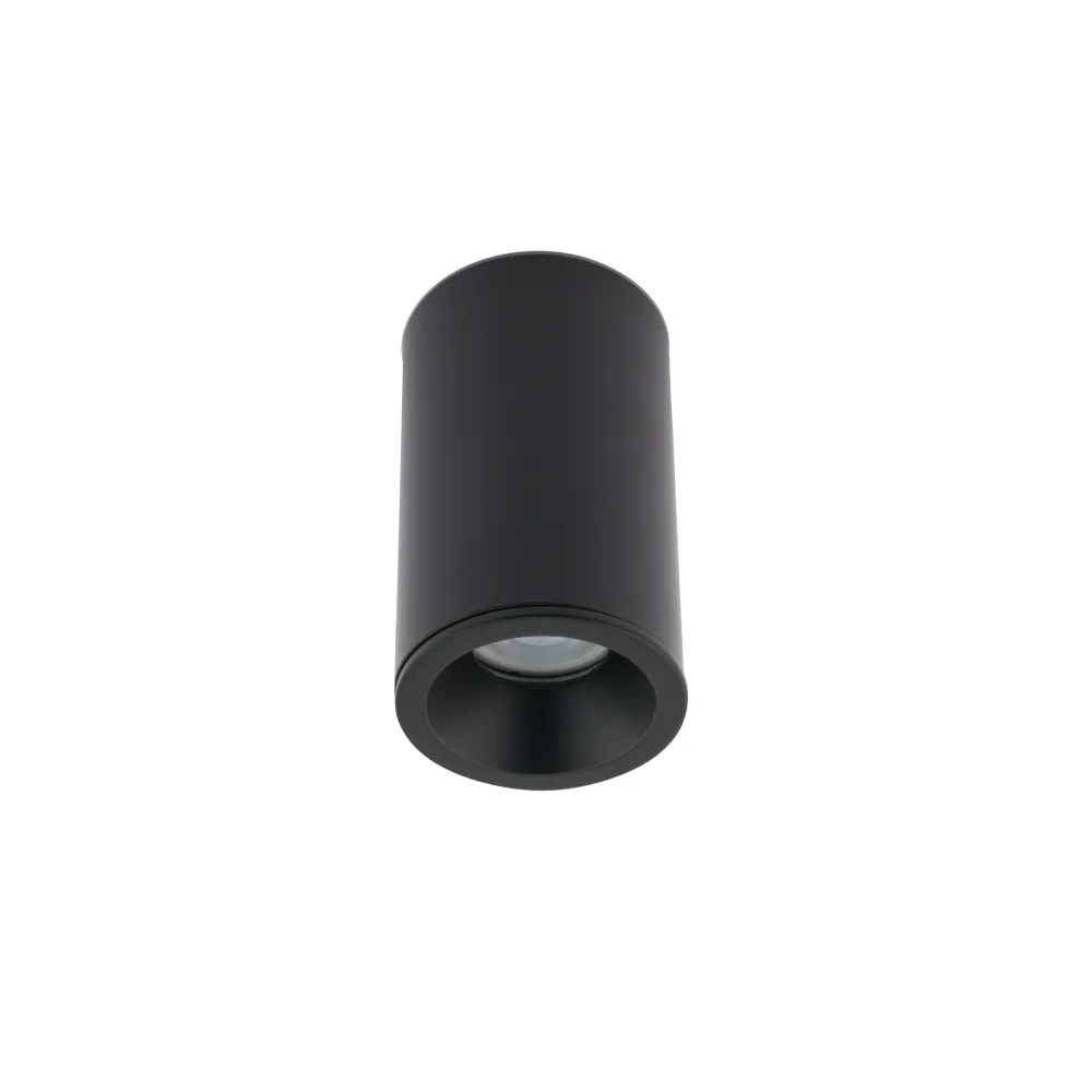 ALPHA black ceiling light fixture