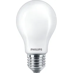 LED Bulb 11.2/100W E27