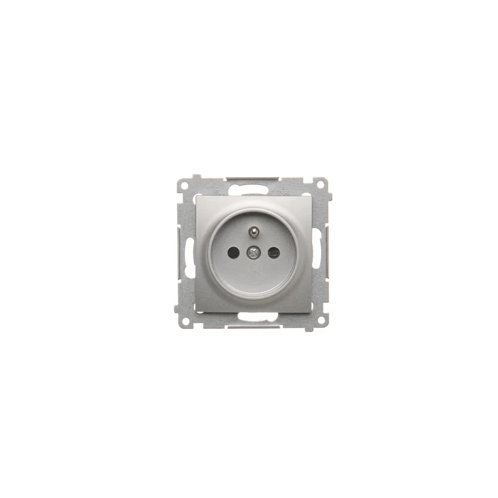 Silver matte module 1x socket with switch
