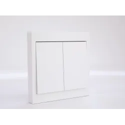 FW-WS2 Wireless Wall Button