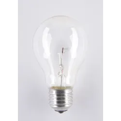 Żarówka NN/GLS Bulb 40W E27 24V przezroczysta 2700K