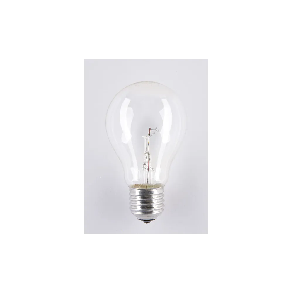 Żarówka NN/GLS Bulb 40W E27 24V przezroczysta 2700K
