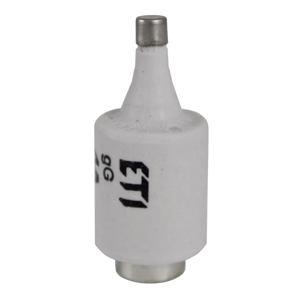 BIWTS DII DZ GF wkładka topikowa szybka 20A 500V