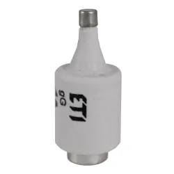 BIWTS DII DZ GF wkładka topikowa szybka 10A E27 500V