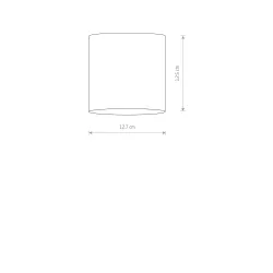 Point Tone biały oprawa sufitowa spot NT 1x GU10 10W IP20