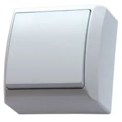 BIS WHITE SWITCH NT 1-POLE - reliable electrical switch