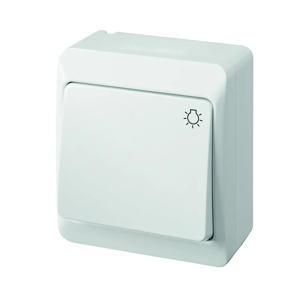 Hermes biały przycisk NT "Światło" IP44 10AX 250V