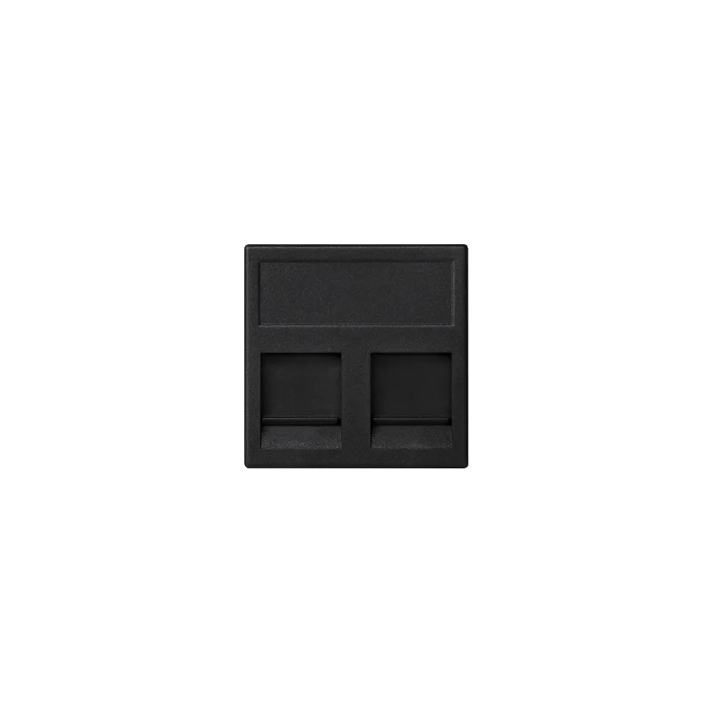 Connect M45 gray graphite 2m plate for 2x UAE sockets with Keys cover