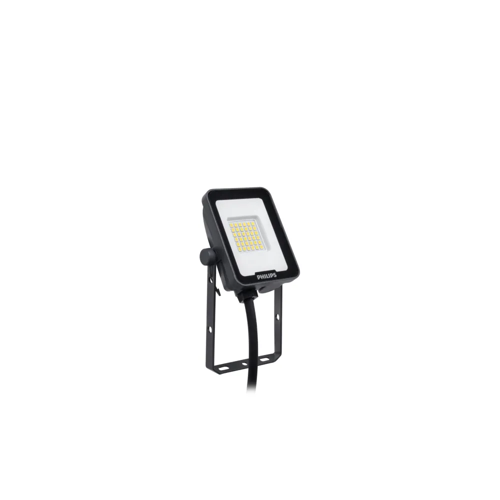 BVP164 ciemnoszary naświetlacz LED 10W 4000K 1200lm – efektywne o