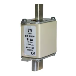 WT-00 NH00 DC 100A – industrial fuse link 250V DC