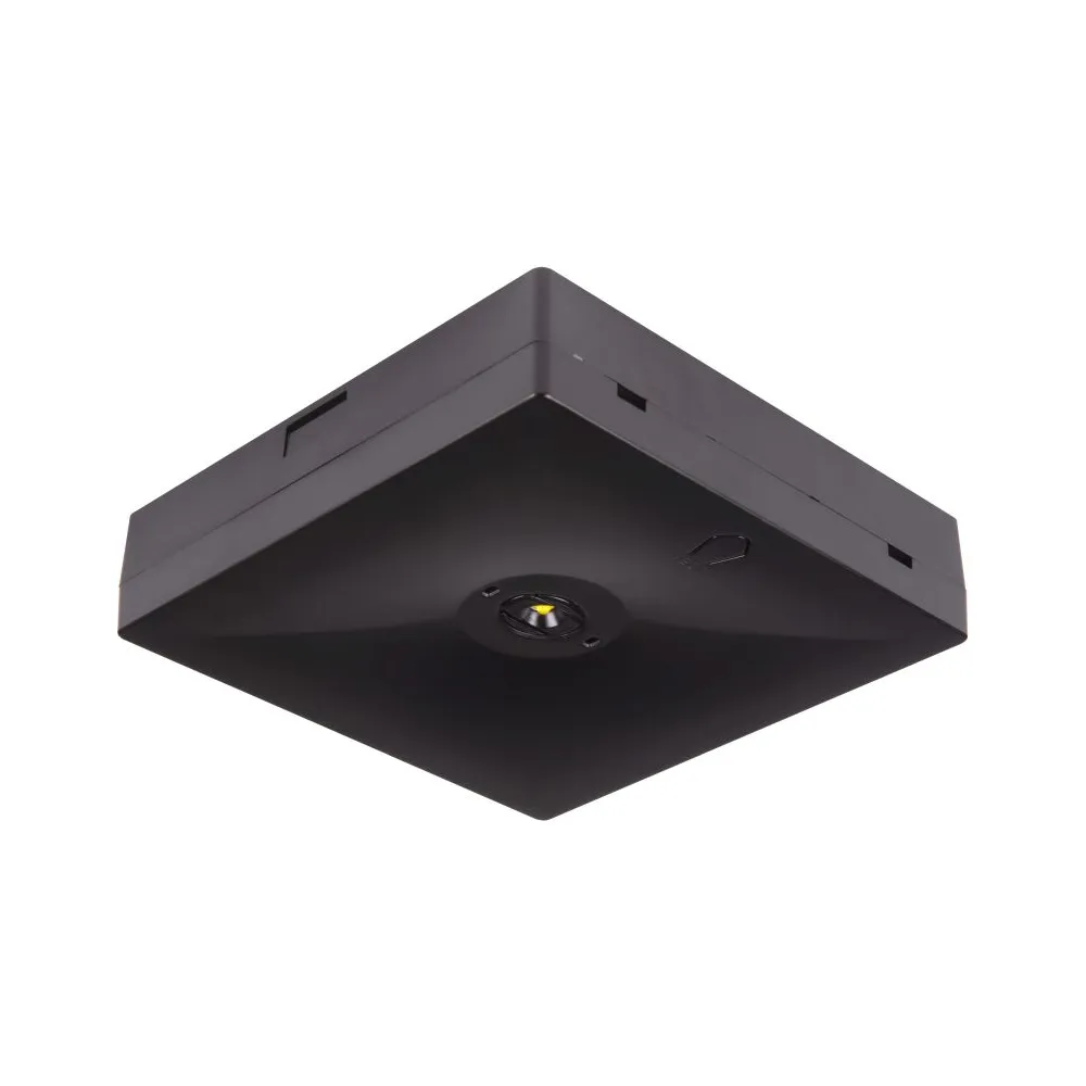 Starlet Quad - high-quality LED emergency lighting fixture