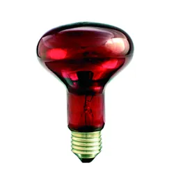 R80 infrared heat lamp IR1 Kwoka 75W E27 Ruby