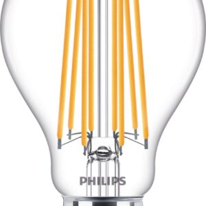COREPRO LED BULB FILAMENT 17W/150W E27 CLEAR GLASS 827 WW 2700K 2452LM A67