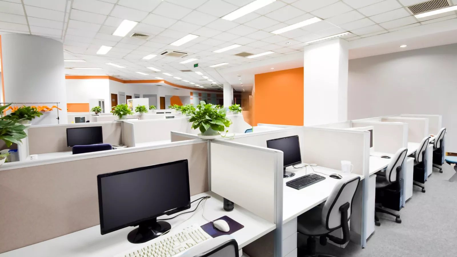 Czujnik obecności i zmierzchu Steinel DualTech DALI-2 IPD podtynkowy IP20 kwadrat biały - obrazek 3