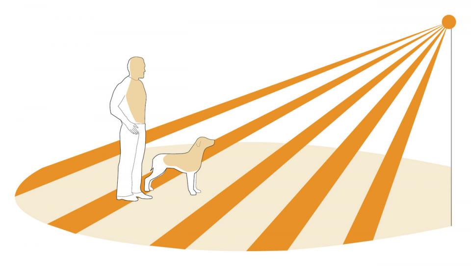 Czujnik obecności i zmierzchu IR Quattro HD-2 24m IP Bluetooth Mesh natynkowy IP20 kwadrat biały - obrazek 4