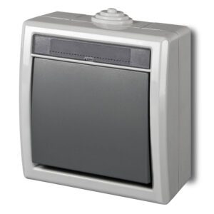 AQUANT 2K SZARY ŁĄCZNIK NT UNIWERSALNY IP55 ZACISKI ŚRUBOWE 10AX 250V