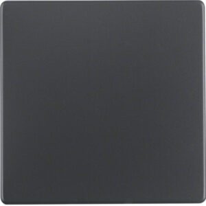 Q.1/Q.3 Klawisz do łącznika 1-klawiszowego, antracyt, aksamit
