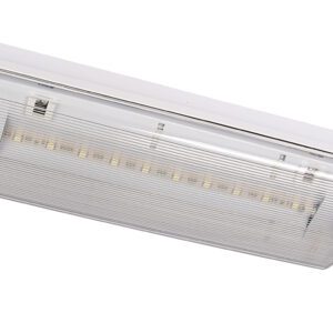 ORION LED II OPRAWA EWAKUACYJNA NT 100 3.5W 3H SA MT IP65