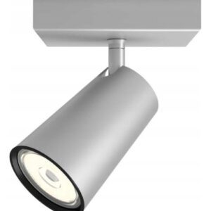 PAISLEY SREBRNY OPRAWA SUFITOWA NT 1X GU10/ 5.5W IP20 IP20 METAL MASSIVE