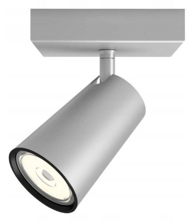 PAISLEY SREBRNY OPRAWA SUFITOWA NT 1X GU10/ 5.5W IP20 IP20 METAL MASSIVE