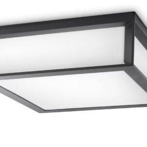 SKIES ANTHRACITE CEILING-WALL OUTDOOR FIXTURE 2X E27/42W IP44 ALUMINIUM/PLASTIC