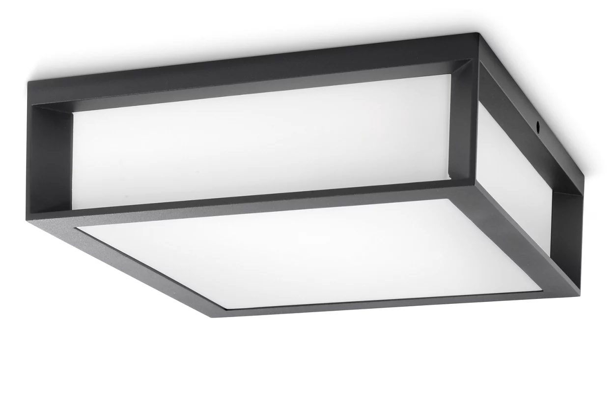 SKIES ANTHRACITE CEILING-WALL OUTDOOR FIXTURE 2X E27/42W IP44 ALUMINIUM/PLASTIC