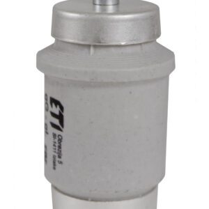 BIWTS DIV DZ GF WKŁADKA TOPIKOWA SZYBKA 100A R1 1/4 500V