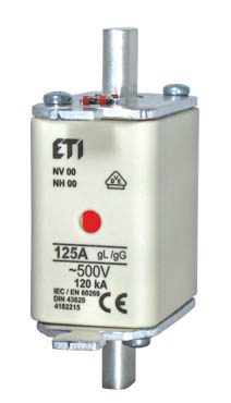 WT-00 NH00 160A GG 500V SLOW-BLOW FUSE BM