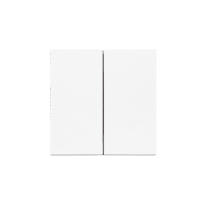 SIMON 55 WHITE MAT MODULE KEY 2X