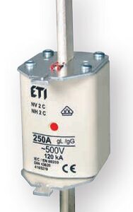 WT-2C NH2C 160A GG 690V WKŁADKA TOPIKOWA ZWŁOCZNA BM